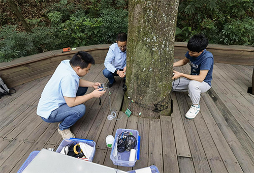 超声波测树传感器 超声波测树传感器