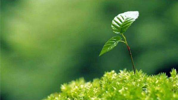 新型土壤分析仪是什么 新型土壤分析仪是什么