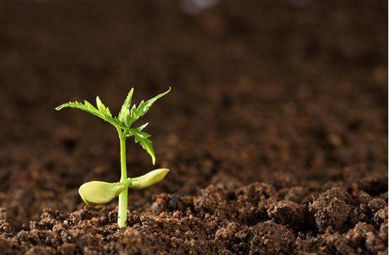 高智能土壤养分检测仪 高智能土壤养分检测仪