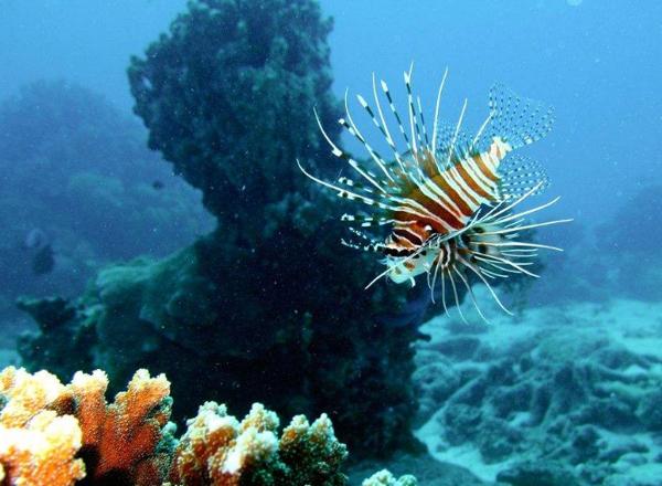 激光雷达应用领域盘点 激光雷达应用领域盘点