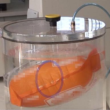 shiyang.jpg shiyang.jpg