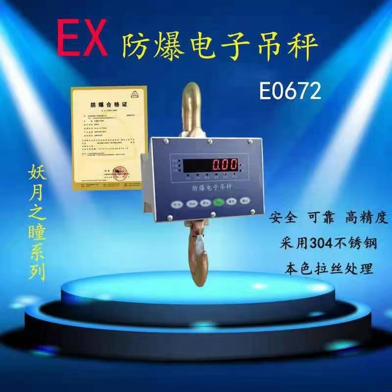首衡E0672防爆吊秤1.jpg