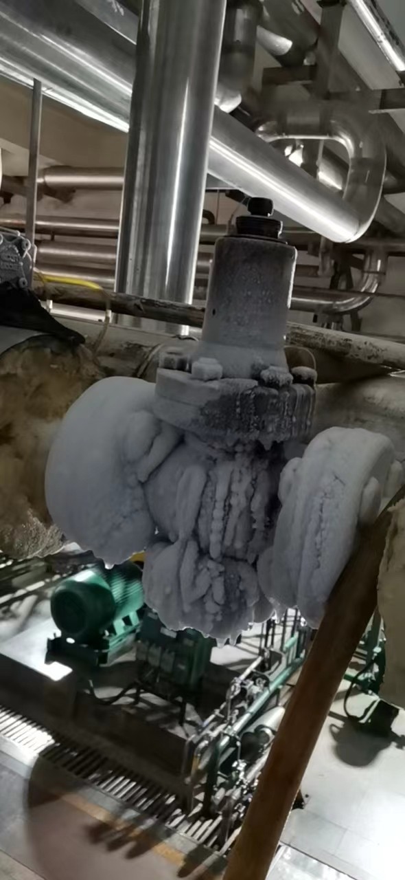 低温减压阀14.jpg 低温减压阀14.jpg