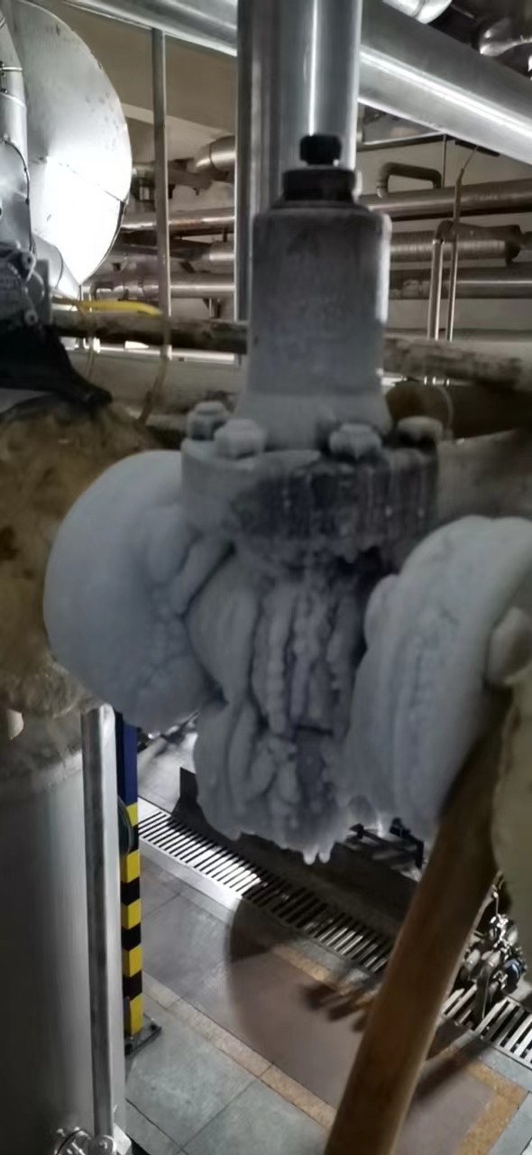 低温减压阀13.jpg 低温减压阀13.jpg