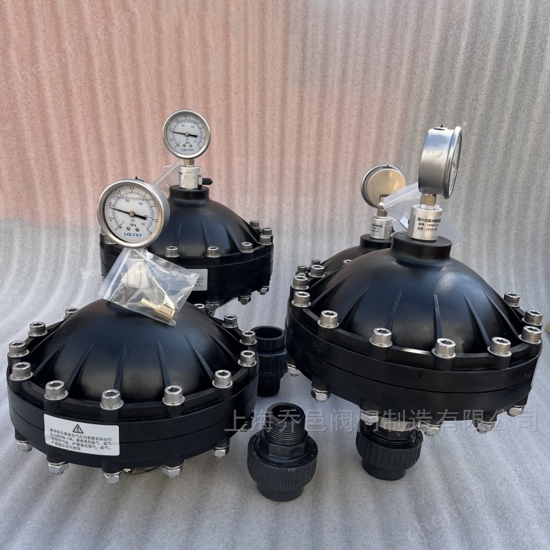 LGMZ-2L膜片式脉冲阻尼器 LGMZ-2L膜片式脉冲阻尼器