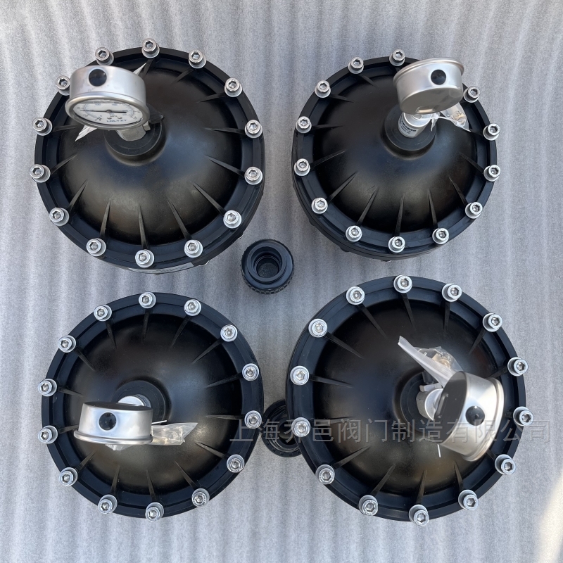 <strong>LGMZ-P2.0L膜片式脉冲阻尼器</strong> <strong>LGMZ-P2.0L膜片式脉冲阻尼器</strong>