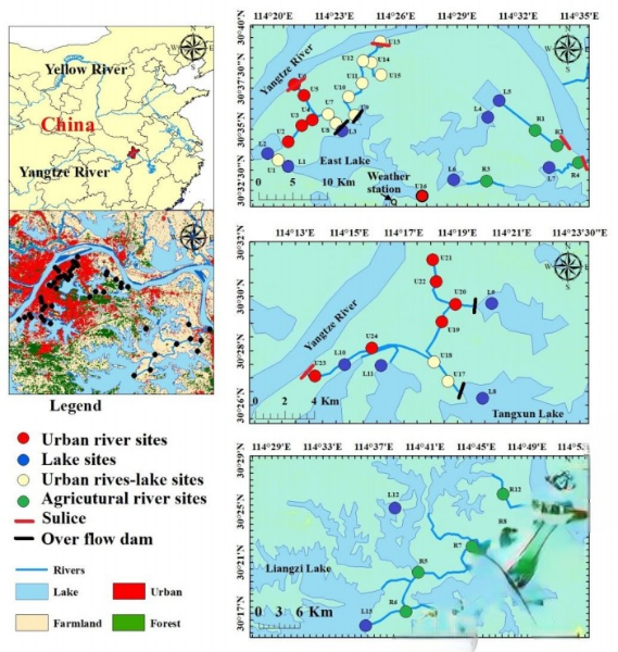 afd5a5f3969eabceed8def498118b59