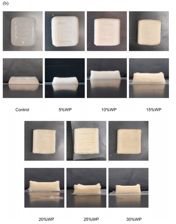 图片3.png 图片3.png