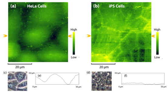 图形用户界面
描述已自动生成