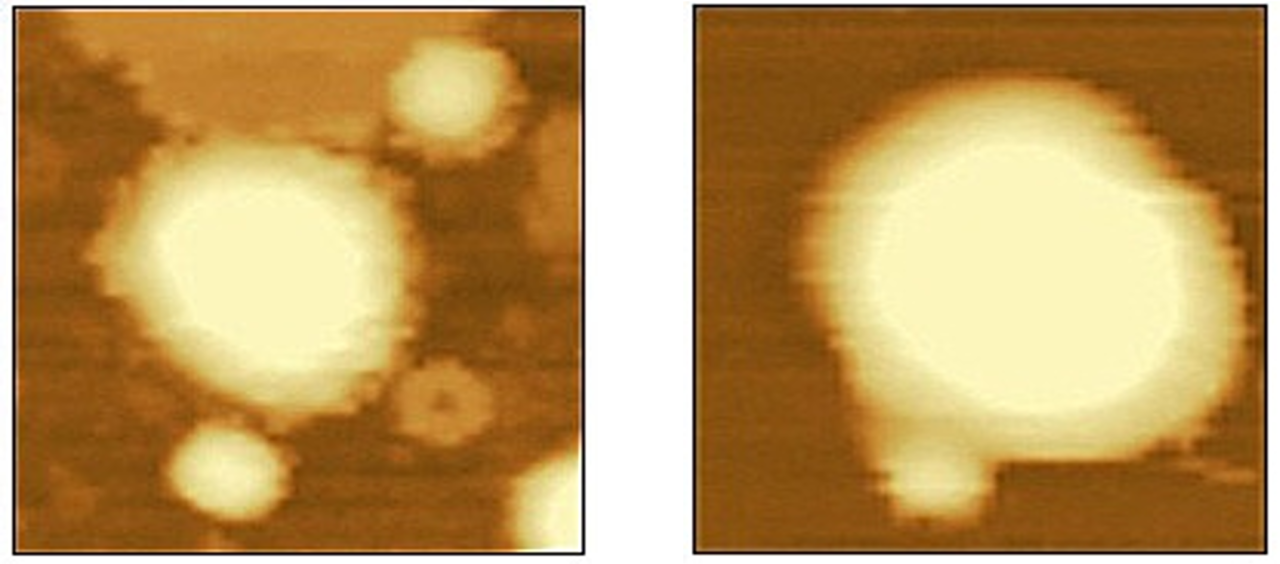 模糊的照片
描述已自动生成