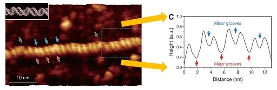 图片包含 图示
描述已自动生成