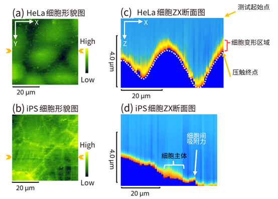 图表, 直方图
描述已自动生成