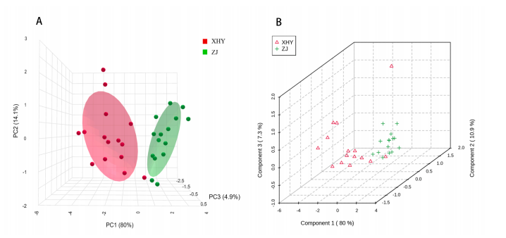 图片6.png 图片6.png