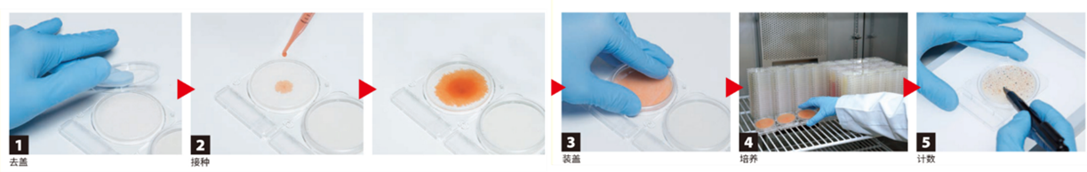图形用户界面, 应用程序
描述已自动生成