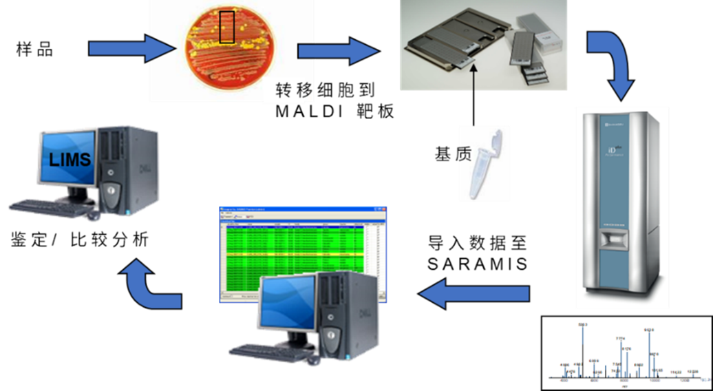 图形用户界面
描述已自动生成