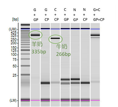 图片包含 瀑布图
描述已自动生成