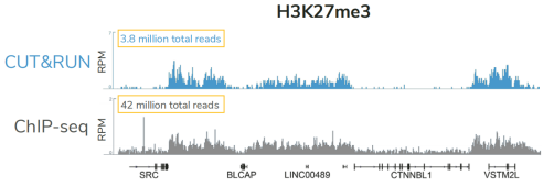 CUTANA™ CUT&RUN Assays ——实现超敏基因组定位 CUTANA™ CUT&RUN Assays ——实现超敏基因组定位