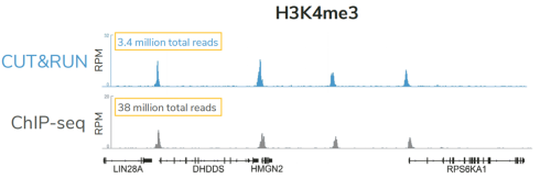 CUTANA™ CUT&RUN Assays ——实现超敏基因组定位 CUTANA™ CUT&RUN Assays ——实现超敏基因组定位