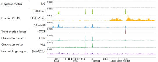 CUTANA™ CUT&RUN Assays ——实现超敏基因组定位 CUTANA™ CUT&RUN Assays ——实现超敏基因组定位