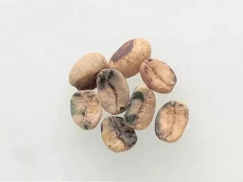 图片4.jpg 图片4.jpg