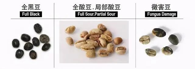 图片5.jpg 图片5.jpg