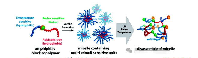 还原多重响应型聚合物.png 还原多重响应型聚合物.png