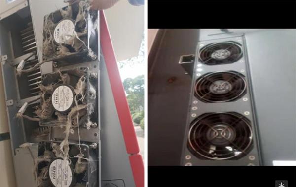 太阳能光伏逆变器风扇日常维护 