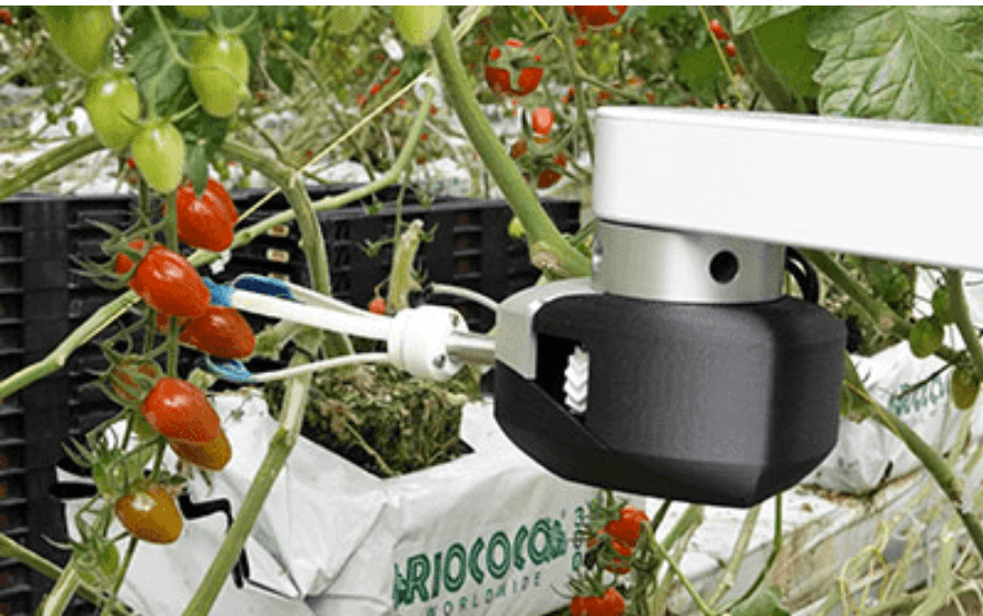 看得清又找得着——机器视觉检测与定位的区别与应用 