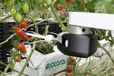 什么是机器视觉？如何在农业应用机器视觉？ 