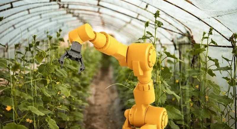 什么是农业机器人？农业机器人的用途和优点 
