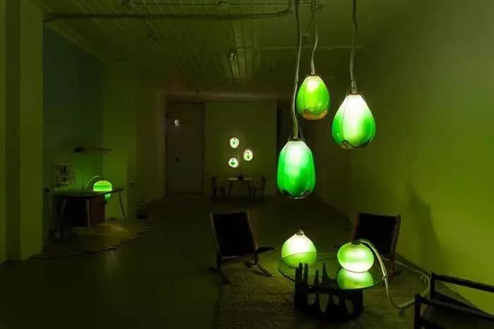 微生物光合作用灯，是LED灯又是植物 