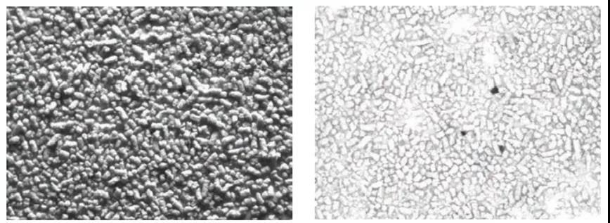 用于制药和医疗设备检测的机器视觉照明 