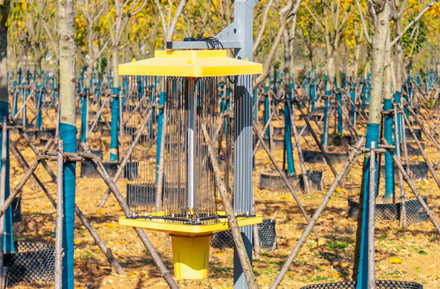 太阳能杀虫灯原理是什么 太阳能杀虫灯使用效果怎么样 