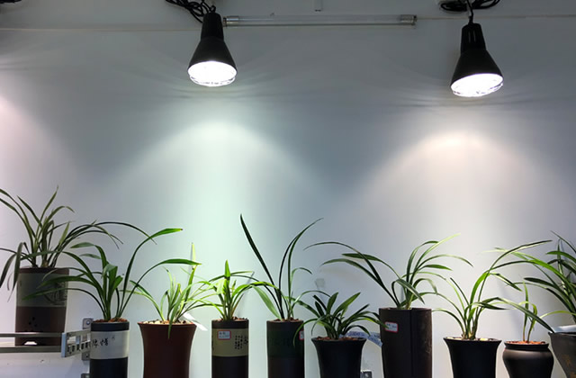 金卤灯的工作原理是什么 金卤灯和led灯哪个好 