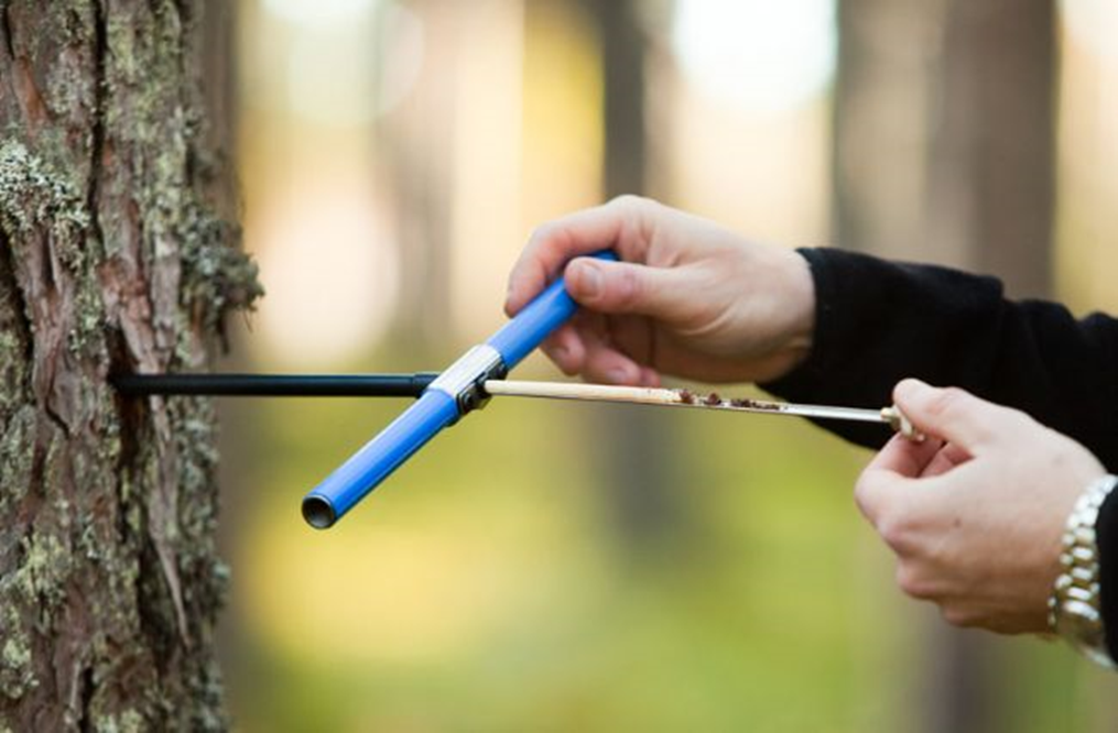 生长锥的使用与保养 