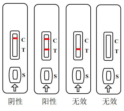 呋喃西林代谢物胶体金法快速检测卡使用说明 