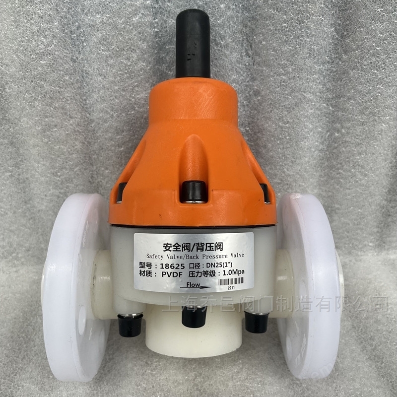 18625安全阀/背压阀PVDF