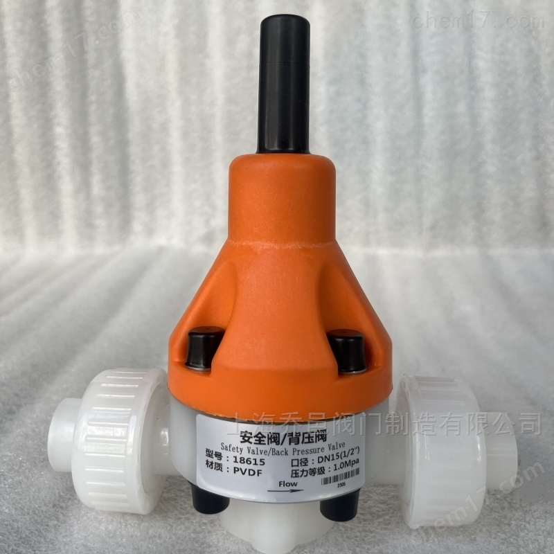 18615安全阀/背压阀PVDF