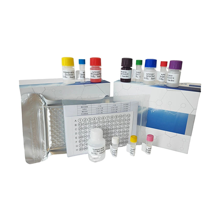 上海研域生物小鼠ELISA试剂盒变质原因详解 