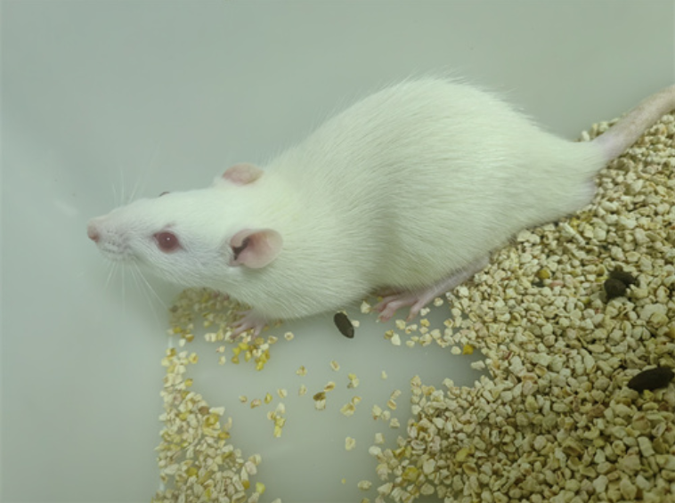 达为科生物项目 