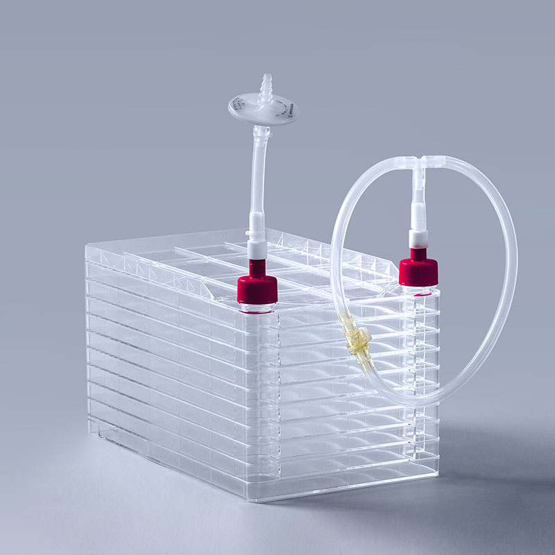 如何观察细胞工厂中细胞的生长状态 