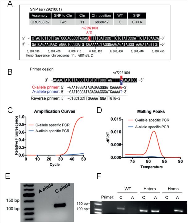 genaxxon M3009.0250现货——上海起发 