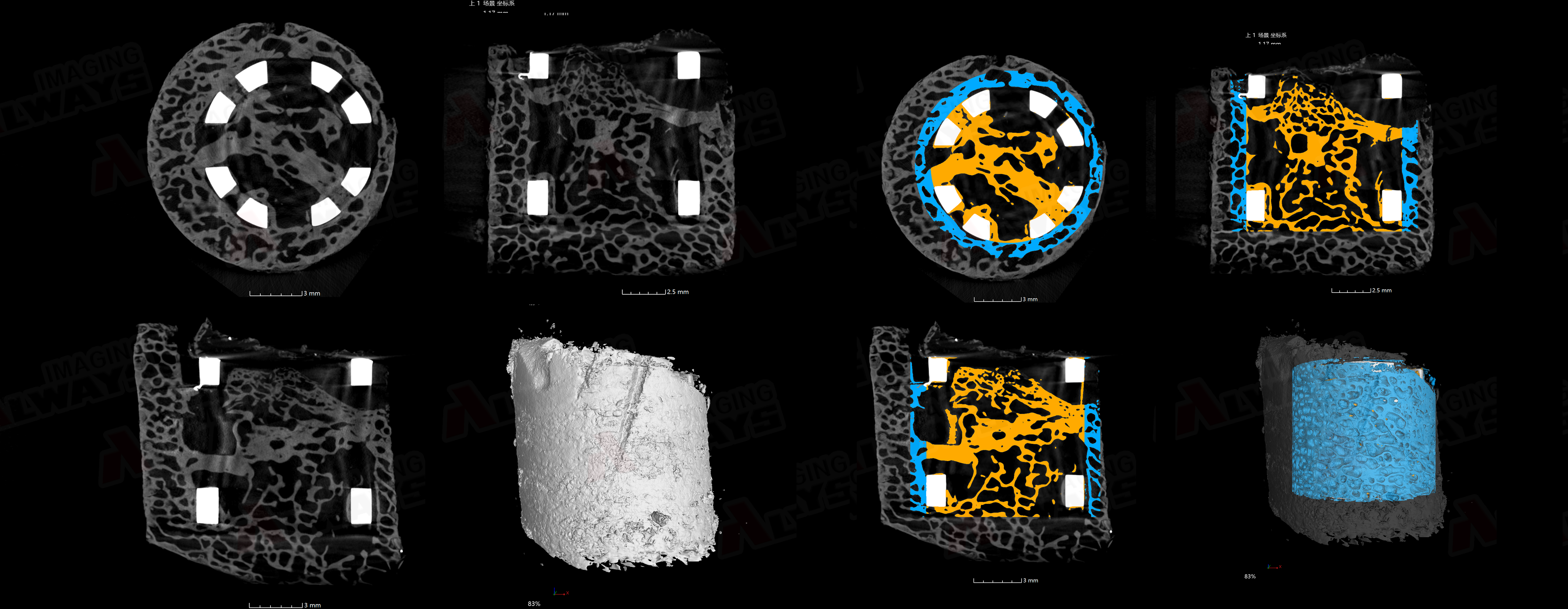 奥影案例|工业CT扫万物：透视生命微观 
