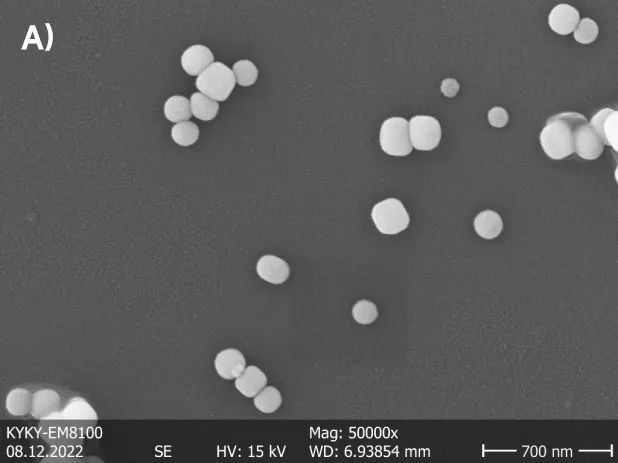 扫描电镜在陶瓷材料中的应用——铁电陶瓷 