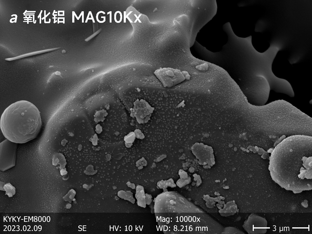 扫描电镜在陶瓷材料中的应用——氧化物陶瓷 