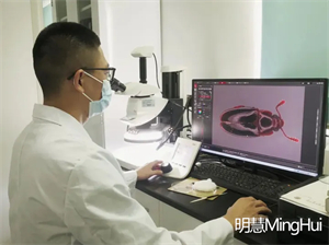 明慧的研究级体视显微镜NSZ818