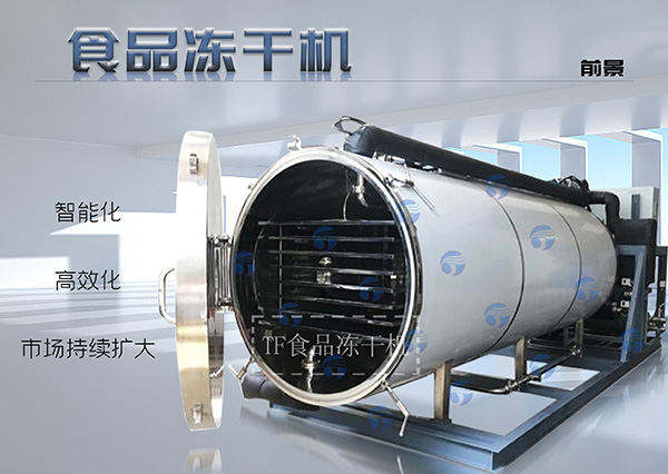 食品冻干机：保持食品新鲜与美味的重要加工设备 