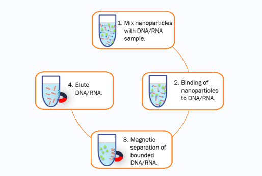 如何进行DNA 大小选择？ 