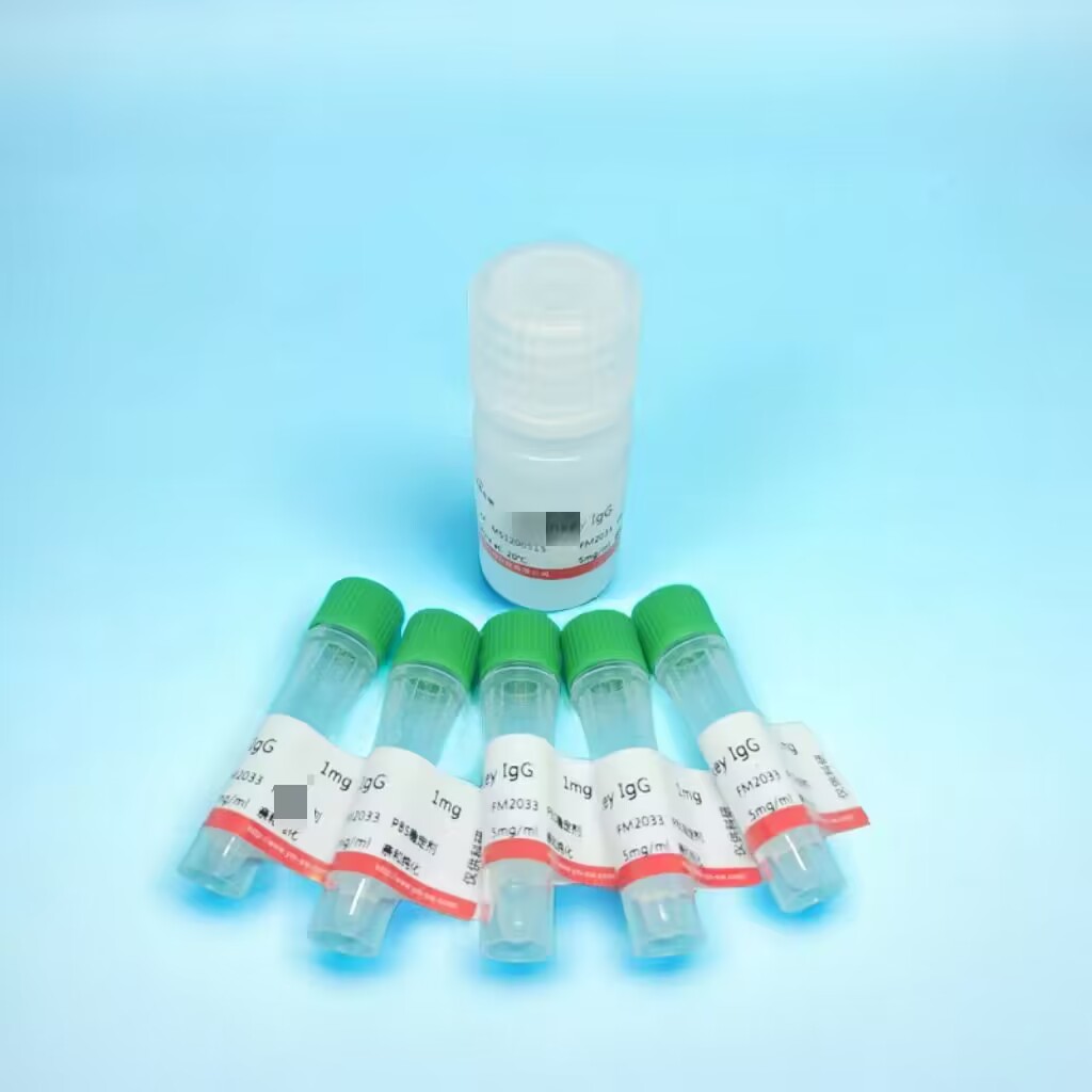 抗体和重组蛋白的使用攻略及保存原则 